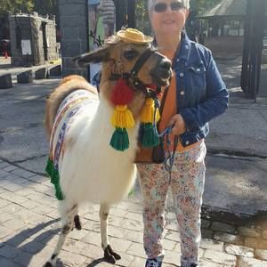 Meet your Posher, Norma